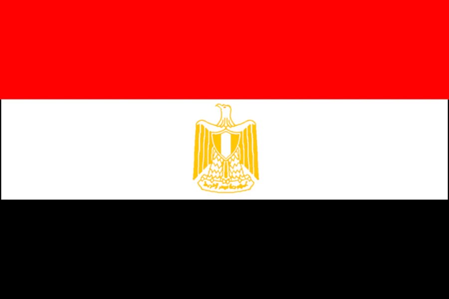 Egypt Flag 5' x 3' | 1 ct