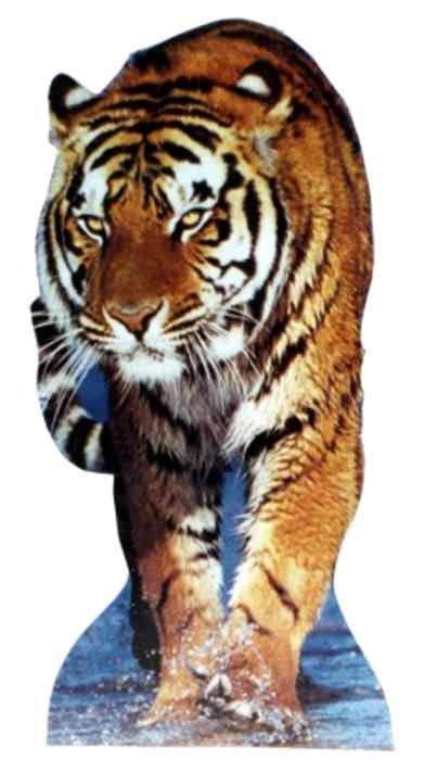 Tiger Lifesize Standup *Made to order-please allow 10-14 days for processing*