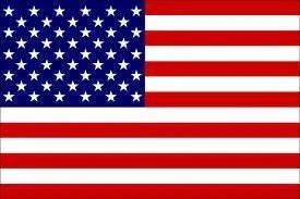 United States of America Flag 5' x 3' | 1 ct