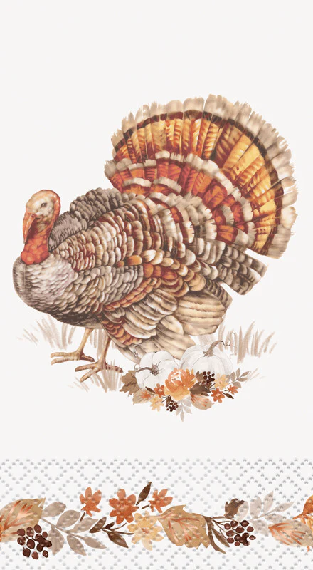Vintage Turkey Guest Napkin | 1ct