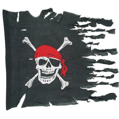 Weathered Pirate Flag | 1ct